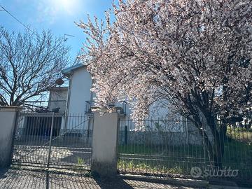 Villa anni 60 della mia nonna, Parma