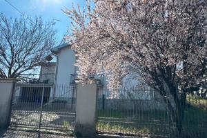 Villa anni 60 della mia nonna, Parma