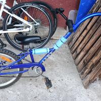 CAMMELLINO RIMORCHIO BICI BAMBINO RAGAZZI