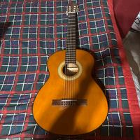 Chitarra Melody guittars mod 450