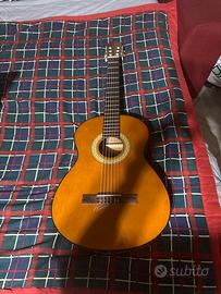 Chitarra Melody guittars mod 450