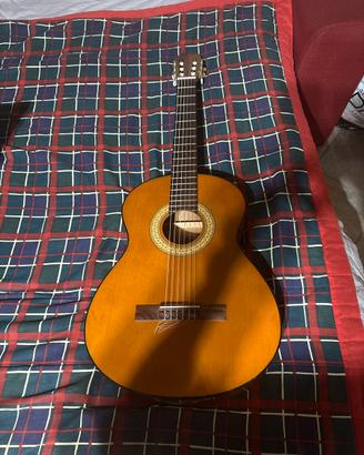 Chitarra Melody guittars mod 450