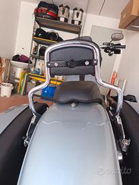 Sissybar sport glide