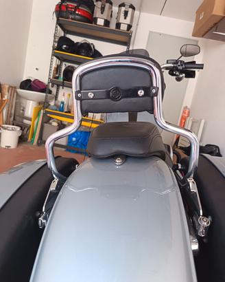 Sissybar sport glide