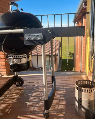 Weber Performer