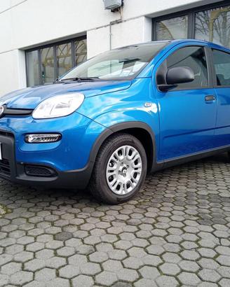 FIAT Panda 1.0 MILD HYBRID MANUALE PANDINA OK NE