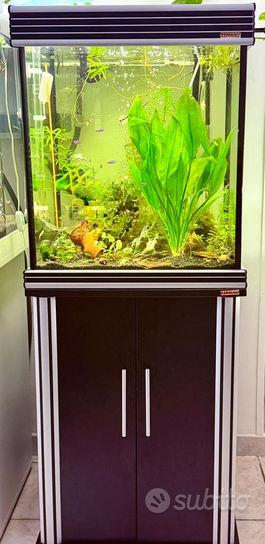 Acquario completo 150 lt