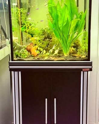 Acquario completo 150 lt
