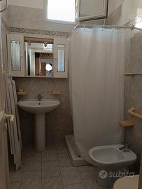 Lido conchiglie 50m dalla spiaggia