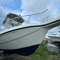 Walkaround Fisherman Seagull F.lli Longo