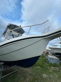 Walkaround Fisherman Seagull F.lli Longo