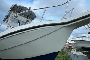 Walkaround Fisherman Seagull F.lli Longo