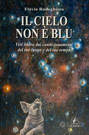 IL CIELO NON E' BLU - FLAVIO RODEGHIERO