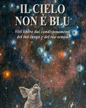 IL CIELO NON E' BLU - FLAVIO RODEGHIERO