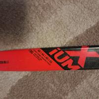 Sci Rossignol skating