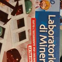 Laboratorio di Mineralogia, con diversi minerali