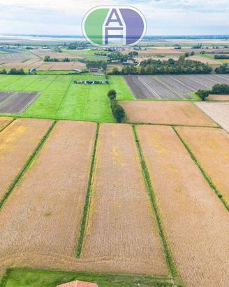 Terreno di 50000 m² a Mira