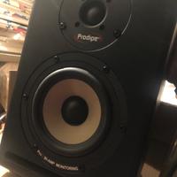 Cassa Monitor Prodipe pro 5