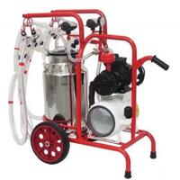 Mungitrice pecora quattro gruppi fda-shop