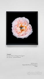 Opera d’arte contemporanea - Fine Art Print