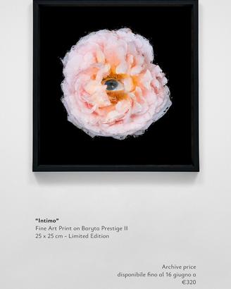 Opera d’arte contemporanea - Fine Art Print