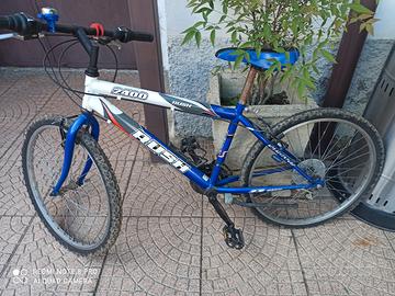 bicicletta