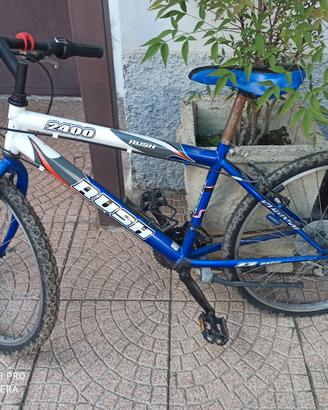 bicicletta