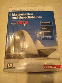 matematica multimediale blu