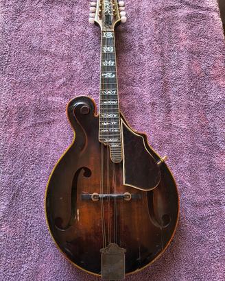 Mandolino cinese Ibanez made in Japan