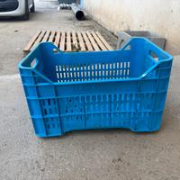 CASSETTE IN PLASTICA DISPONIBILITÁ 1000 PEZZI