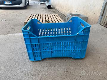 CASSETTE IN PLASTICA DISPONIBILITÁ 1000 PEZZI