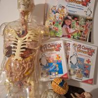 esplorando il corpo umano 