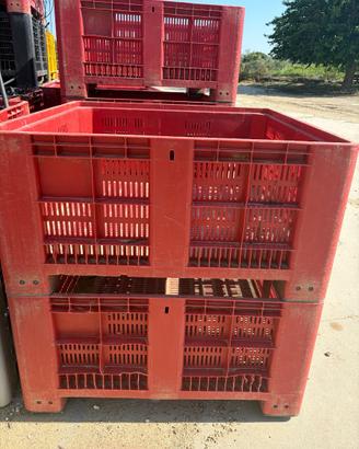 Bins agricoli in plastica – cassoni raccolta frutt