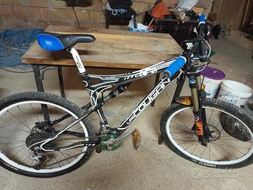 montambyik lee cougan 