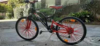Bicicletta da ragazzo 