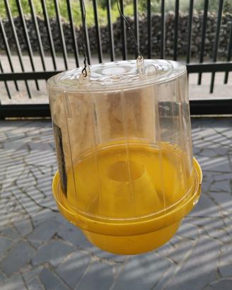 trappole per Mosca olivo o altri insetti