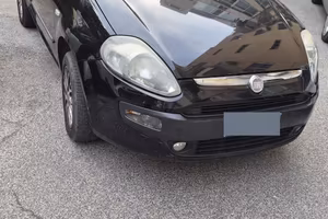 Punto Evo natural power