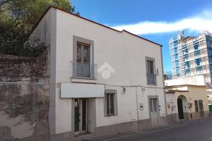 NEGOZIO A POLLENA TROCCHIA