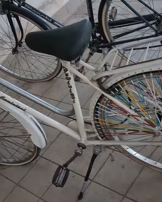 biciclette uomo e donna 