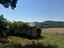 Immagine 7