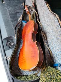 Antico Violino