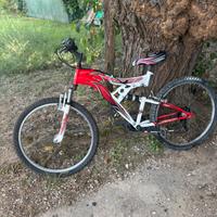 Mountain Bike Stella Veneta