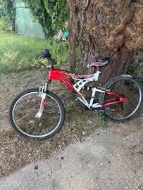 Mountain Bike Stella Veneta