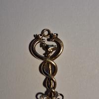 piccolo gioiello caduceo