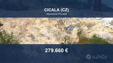 Immobile in asta di 36490 m² a Cicala