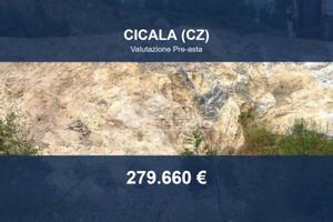 Immobile in asta di 36490 m² a Cicala