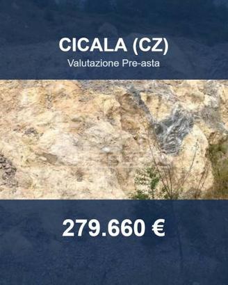 Immobile in asta di 36490 m² a Cicala