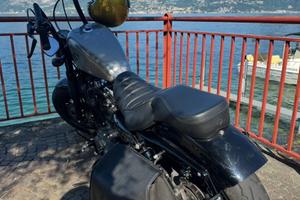 Harley davidson sportster