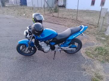 Honda hornet 600 anno 2004