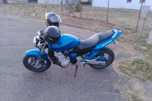 Honda hornet 600